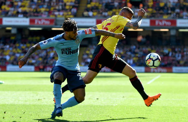 维尔纳完美 维尔纳完美