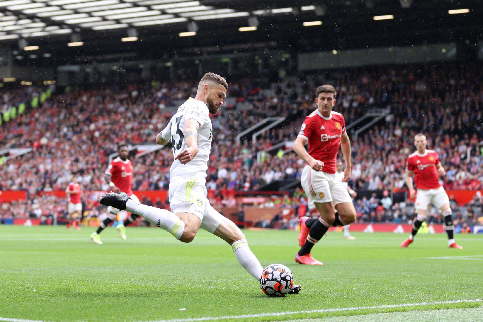 禀的新秀 禀的新秀