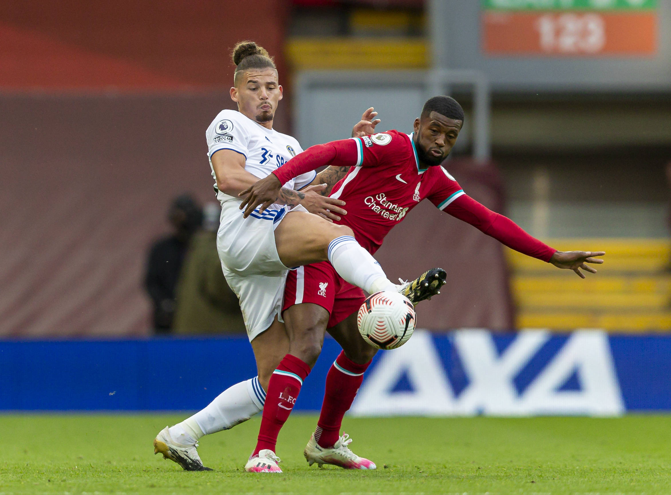 情自然对拜 情自然对拜